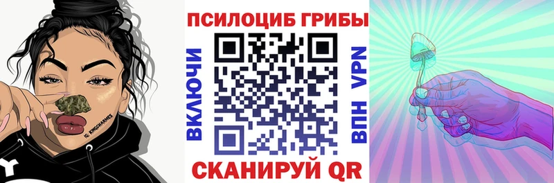 Галлюциногенные грибы GOLDEN TEACHER  где купить   MEGA онион  Кисловодск 