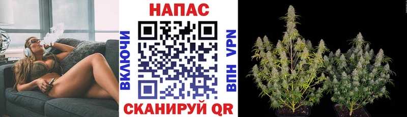 купить закладку  ОМГ ОМГ ССЫЛКА  Бошки Шишки Ganja  Кисловодск 